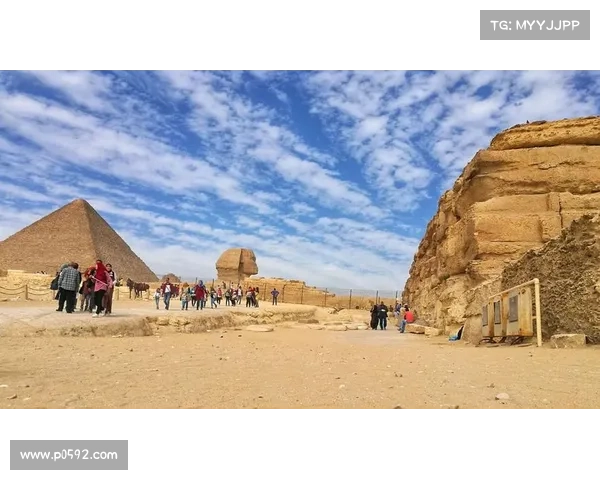 2017乌埃及体育盛事精彩回顾与深远影响探讨