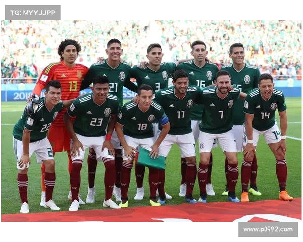 墨西哥瑞典赛事技术统计—墨西哥瑞典球迷庆祝