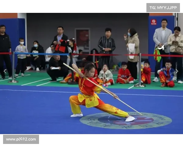 武林赛事有那些,武林赛事的近期视频