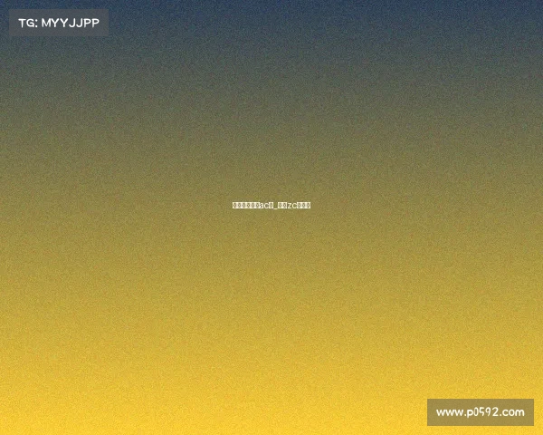 淡泊电子竞技ac组_淡泊zc组队长